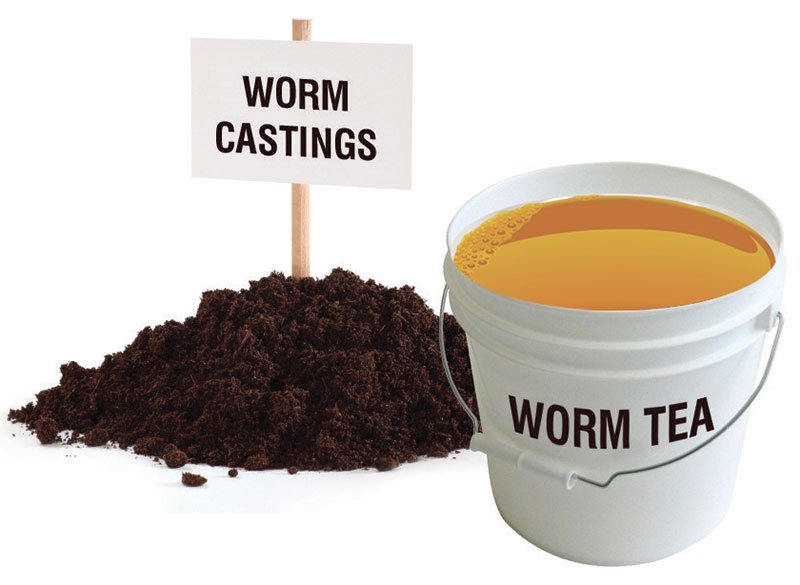 About Worm Farming and Maze Worm Farms - mazeproducts