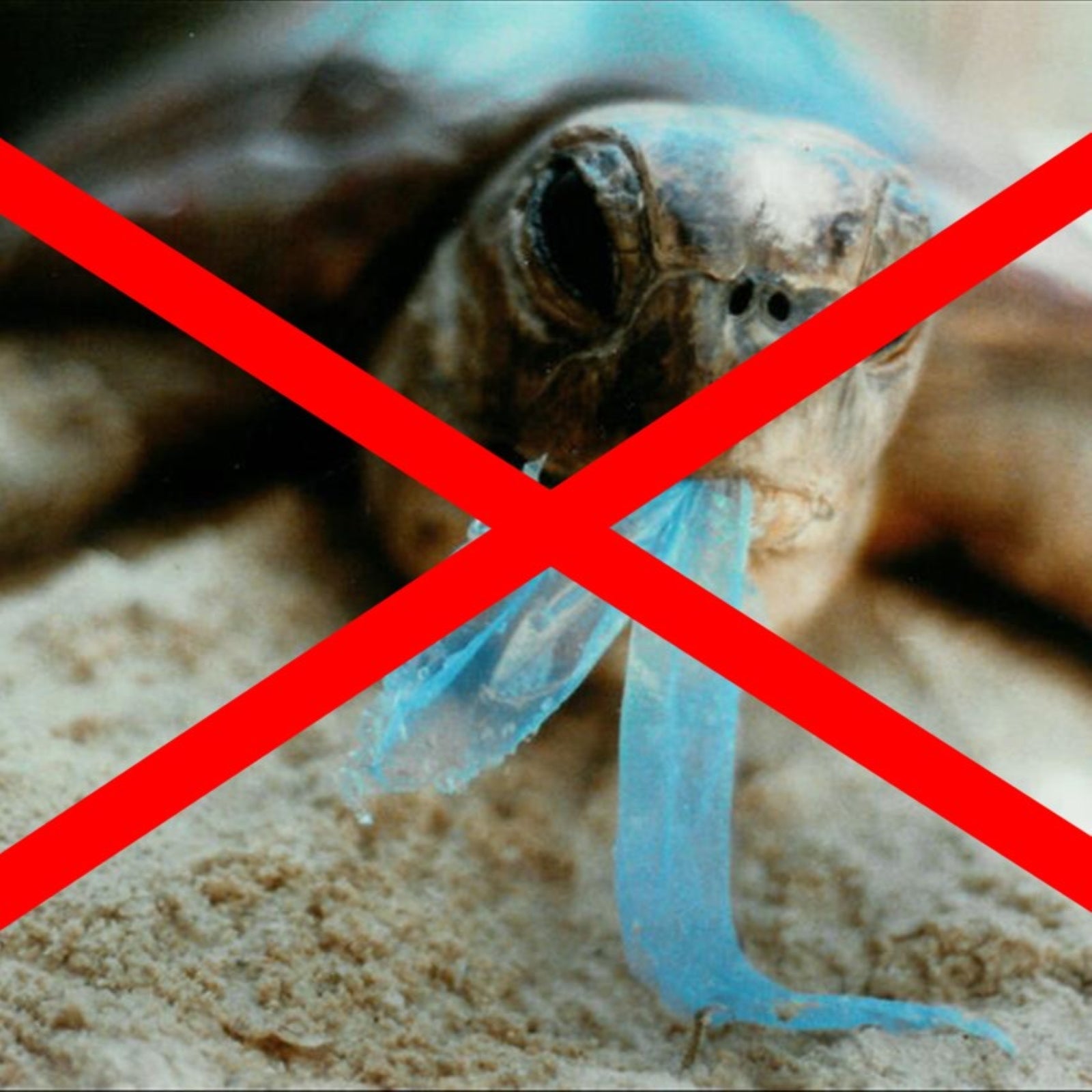 2.4 Gal. (9lt) x120 Compostable Bags - mazeproducts